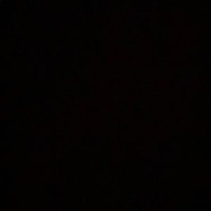 Meet your Posher, Oscar